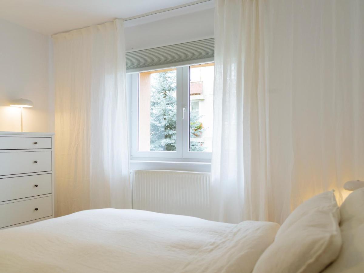 Cozy Central Apartment Near The Forest ブラショフ エクステリア 写真