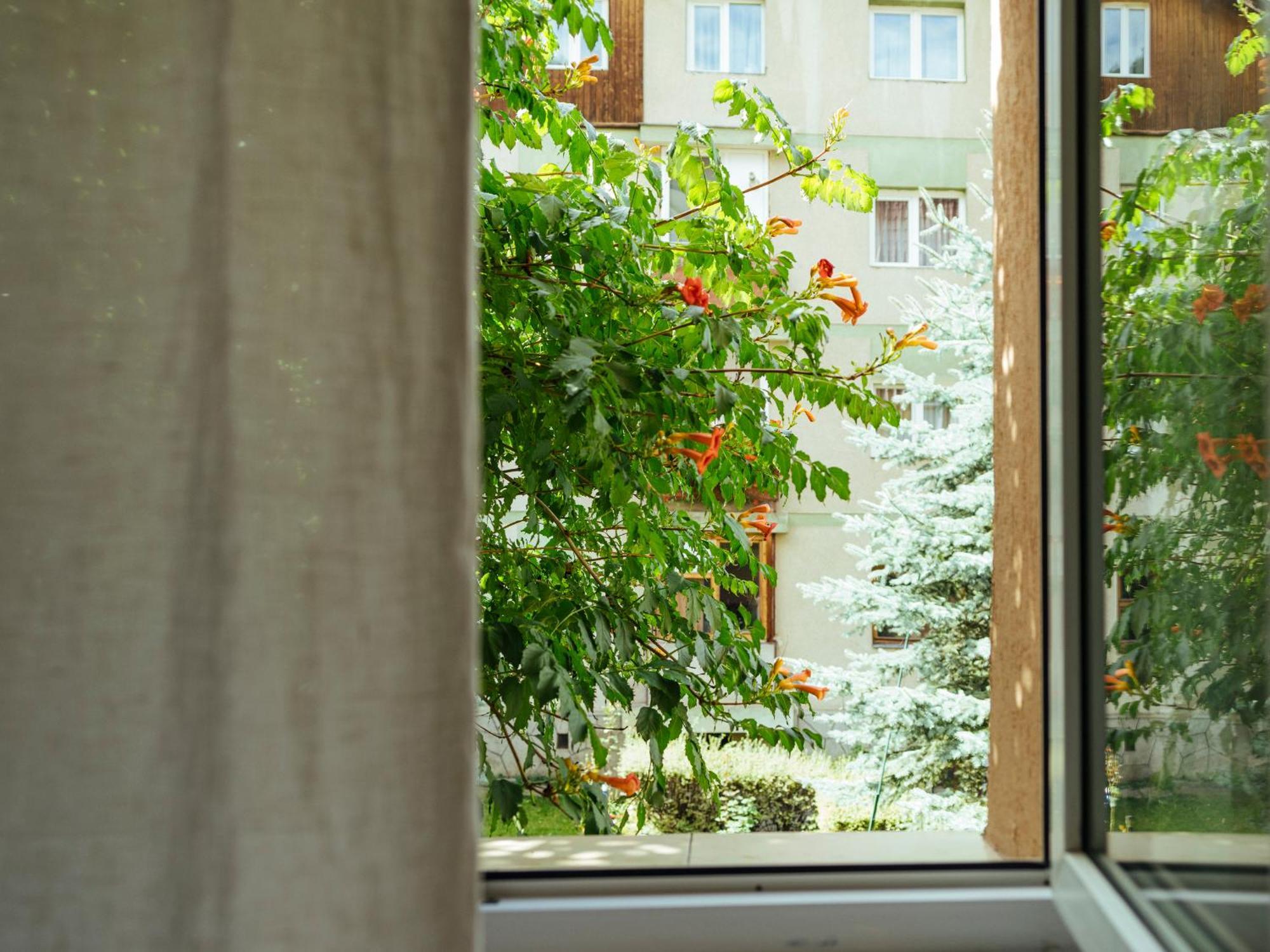 Cozy Central Apartment Near The Forest ブラショフ エクステリア 写真